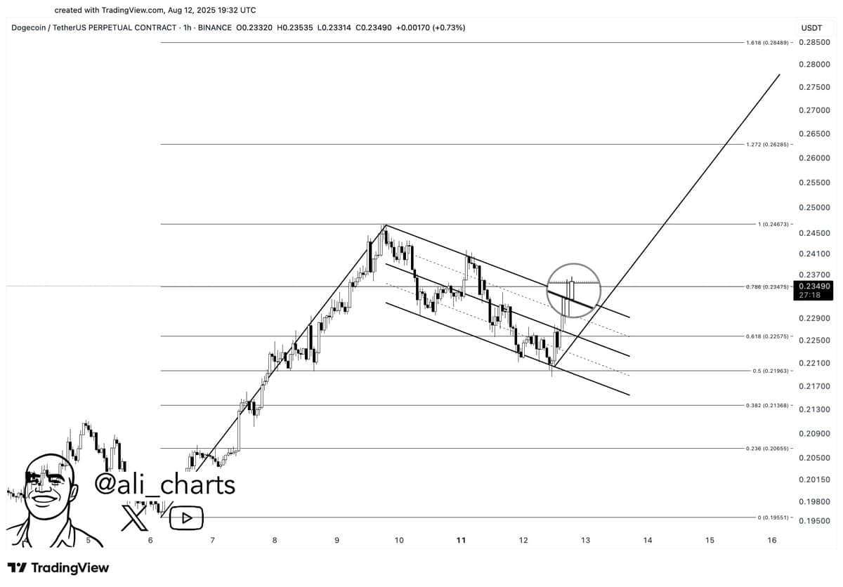 DOGE Price Chart