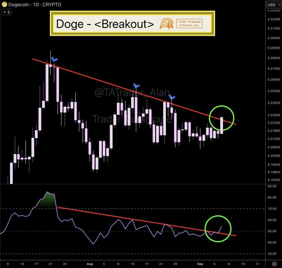 DOGE price chart