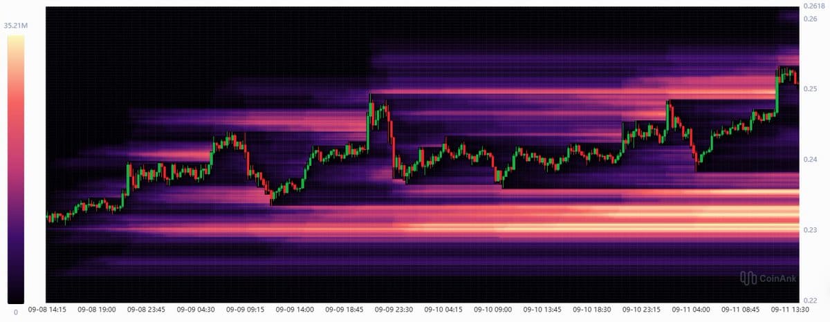 DOGE Liquidations