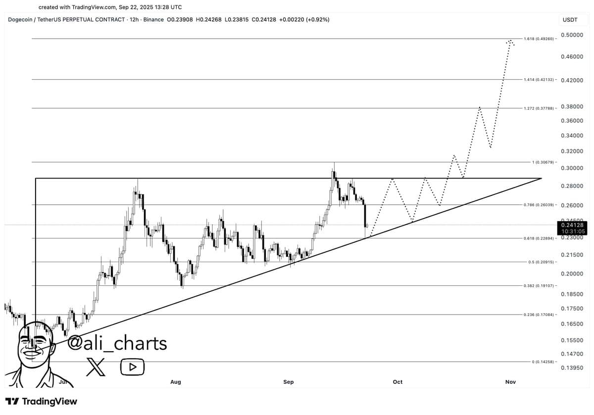 Dogecoin Chart