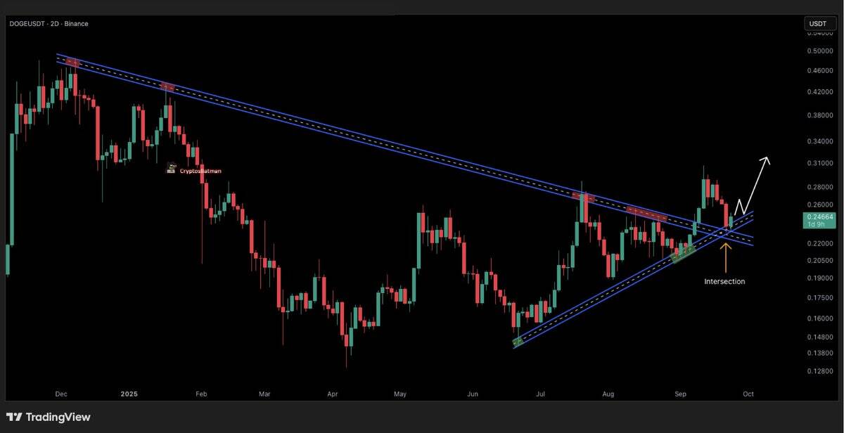 DOGE price chart