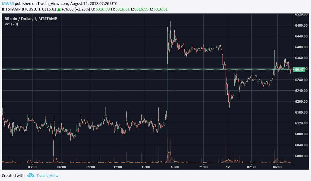 shin crypto price