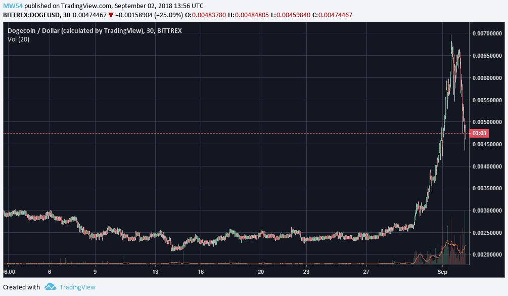 Dogecoin Fake News Leads To Price Rally