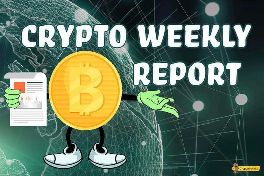 Bitcoin Weekly Market Update