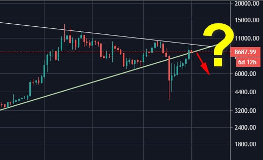 Bitcoin Tests Historical Support Line From 2015: A Breakdown Might Lead To Huge Dump Before Halving (BTC Price Analysis)