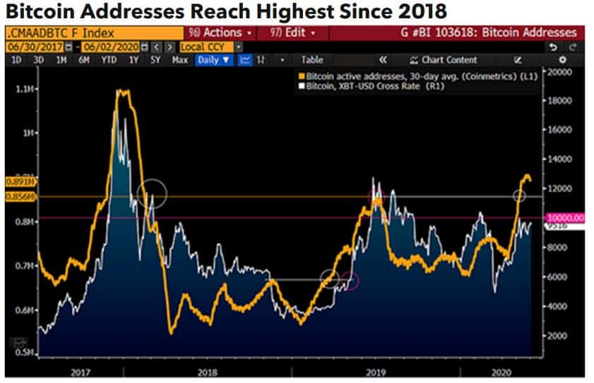 bloomberg bitcoins