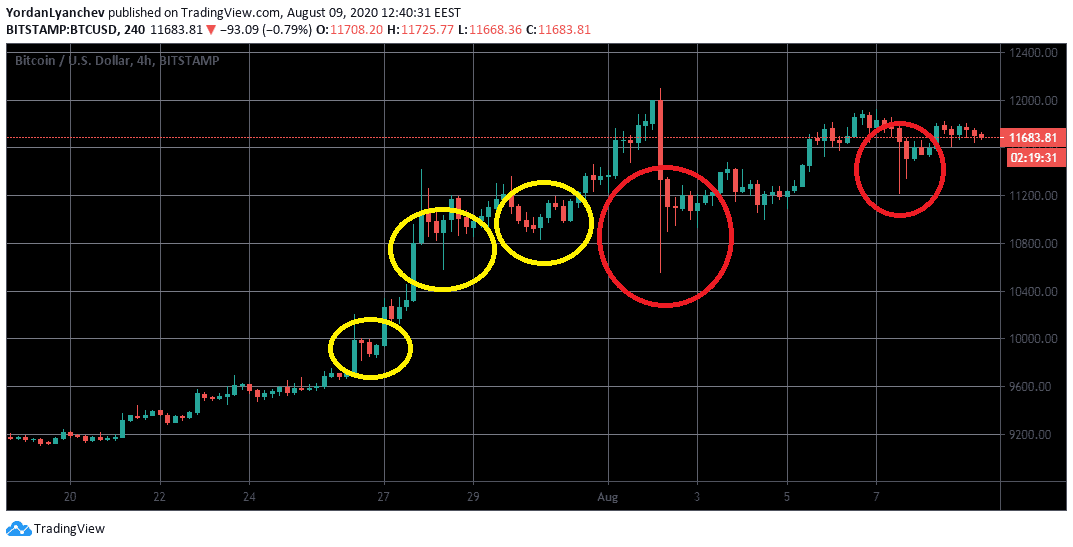 crypto to buy in this dip