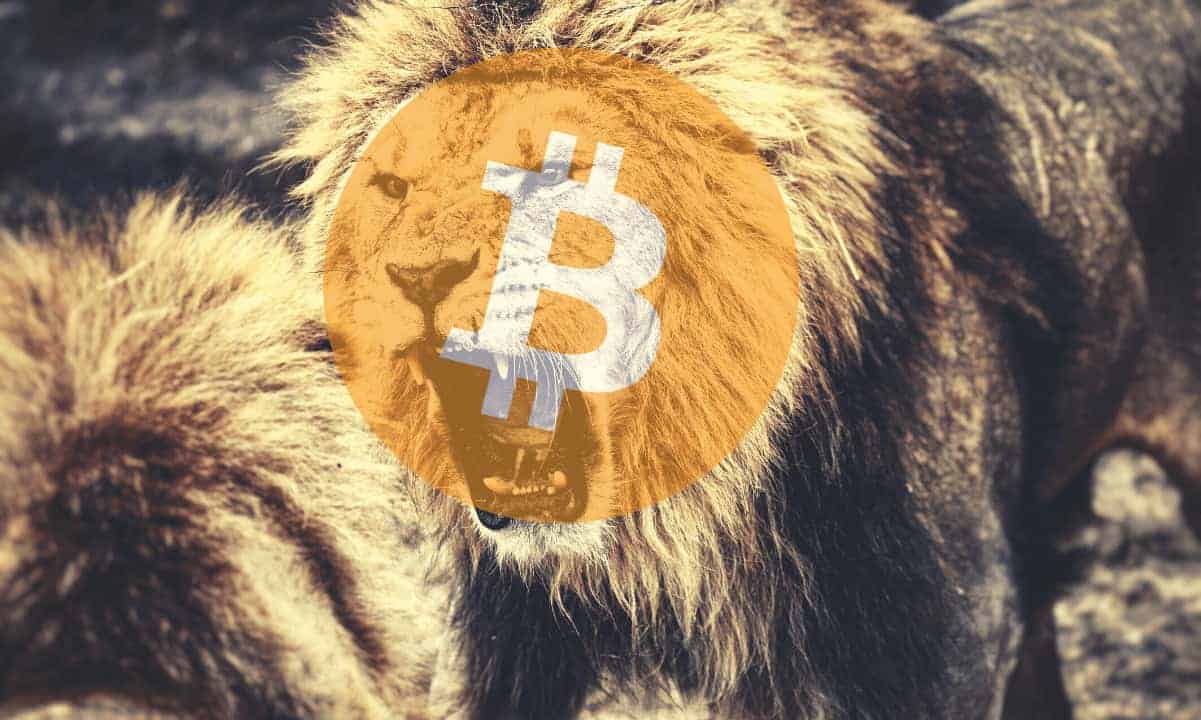 65 in bitcoin