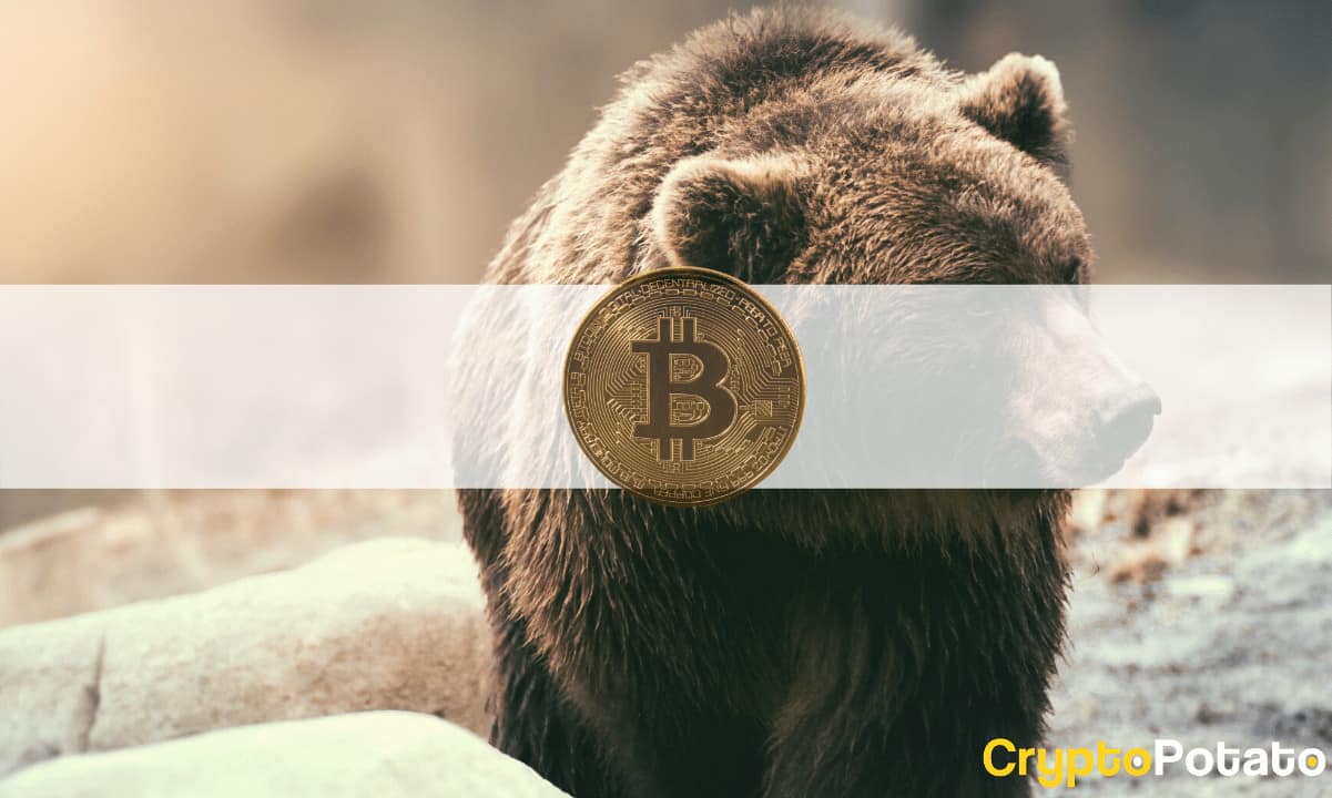 K or K: Bitcoin’s Expected Bottom Based on Previous Bear Markets