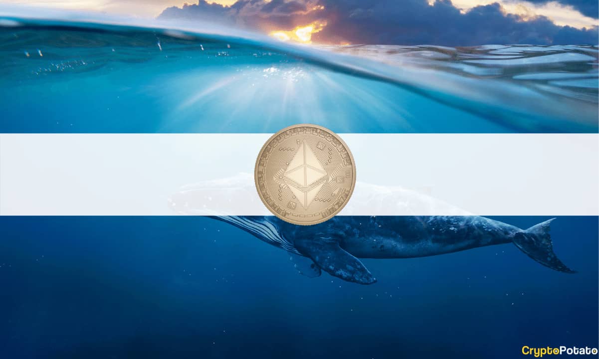 Ethereum Whale Addresses on the Rise as ETH Nears .5K