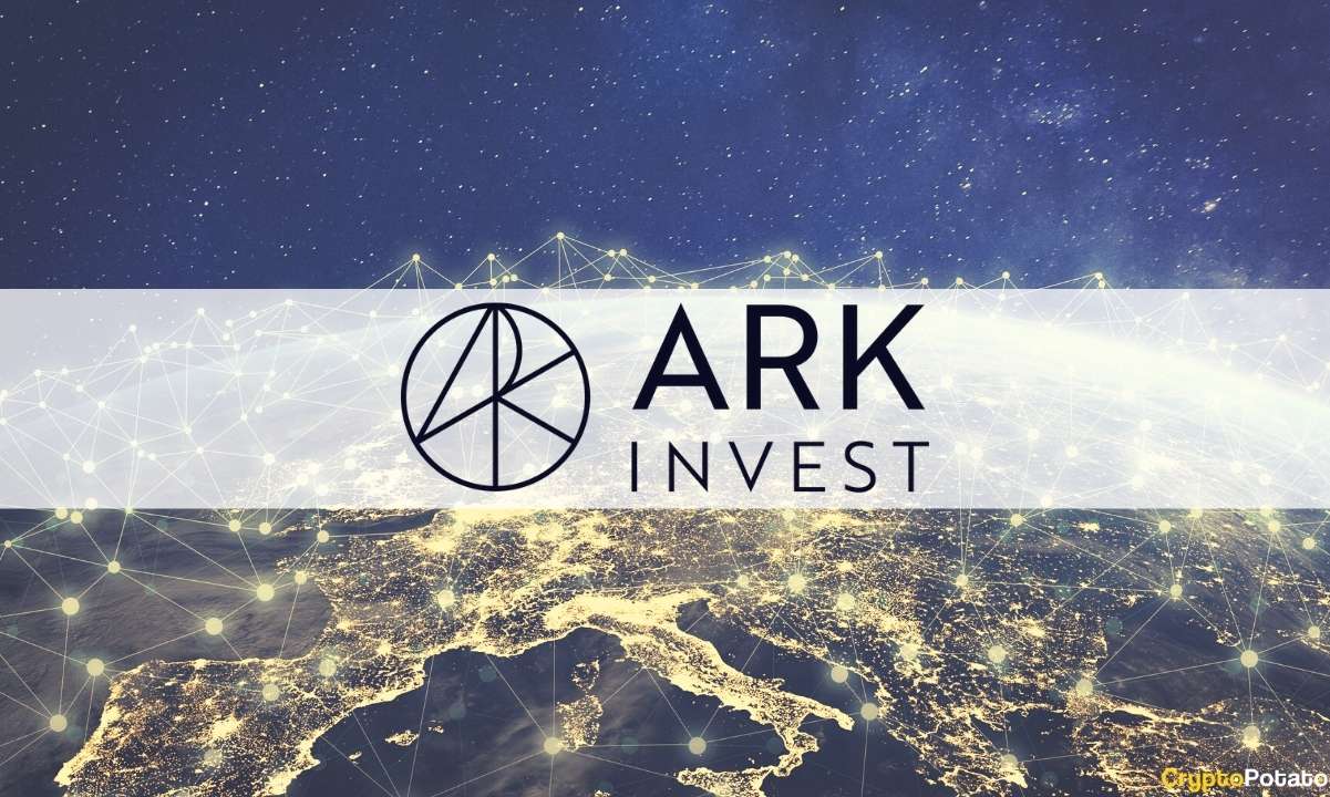 ark crypto price drop