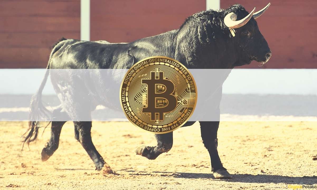 bullbitcoin_cover