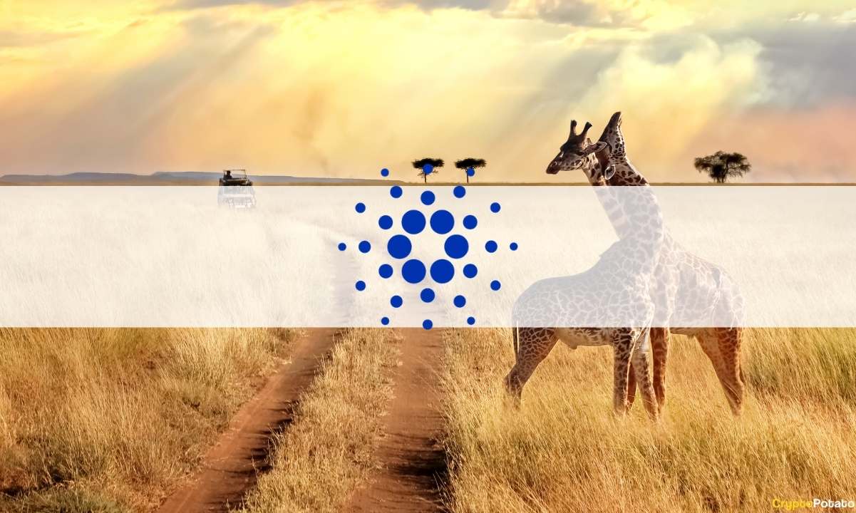 cardano