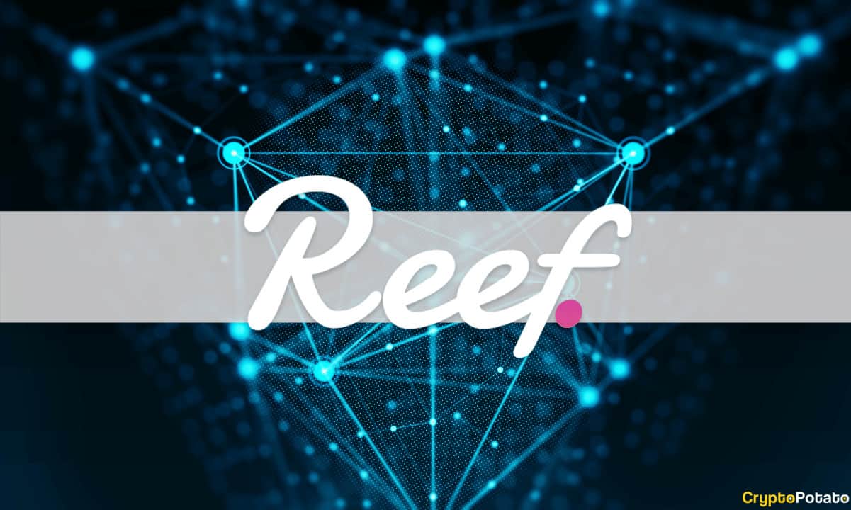 reef finance crypto