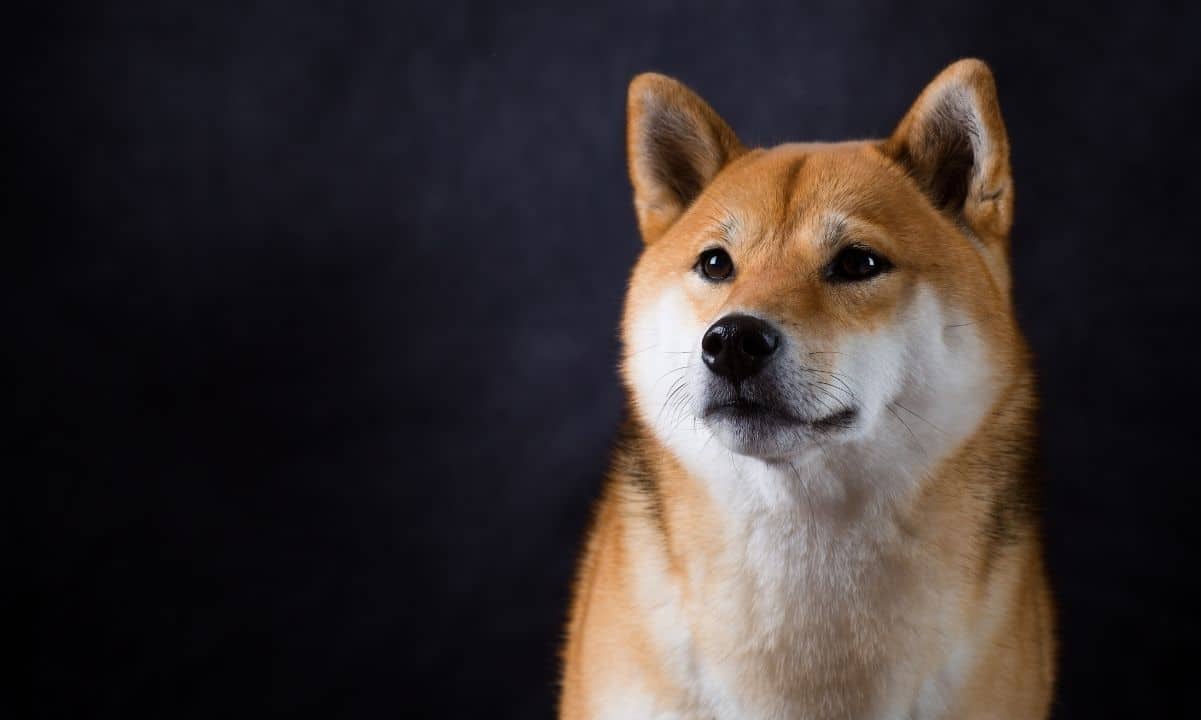 Shiba Inu (SHIB) is the 5th Most Called Smart Contract on Ethereum