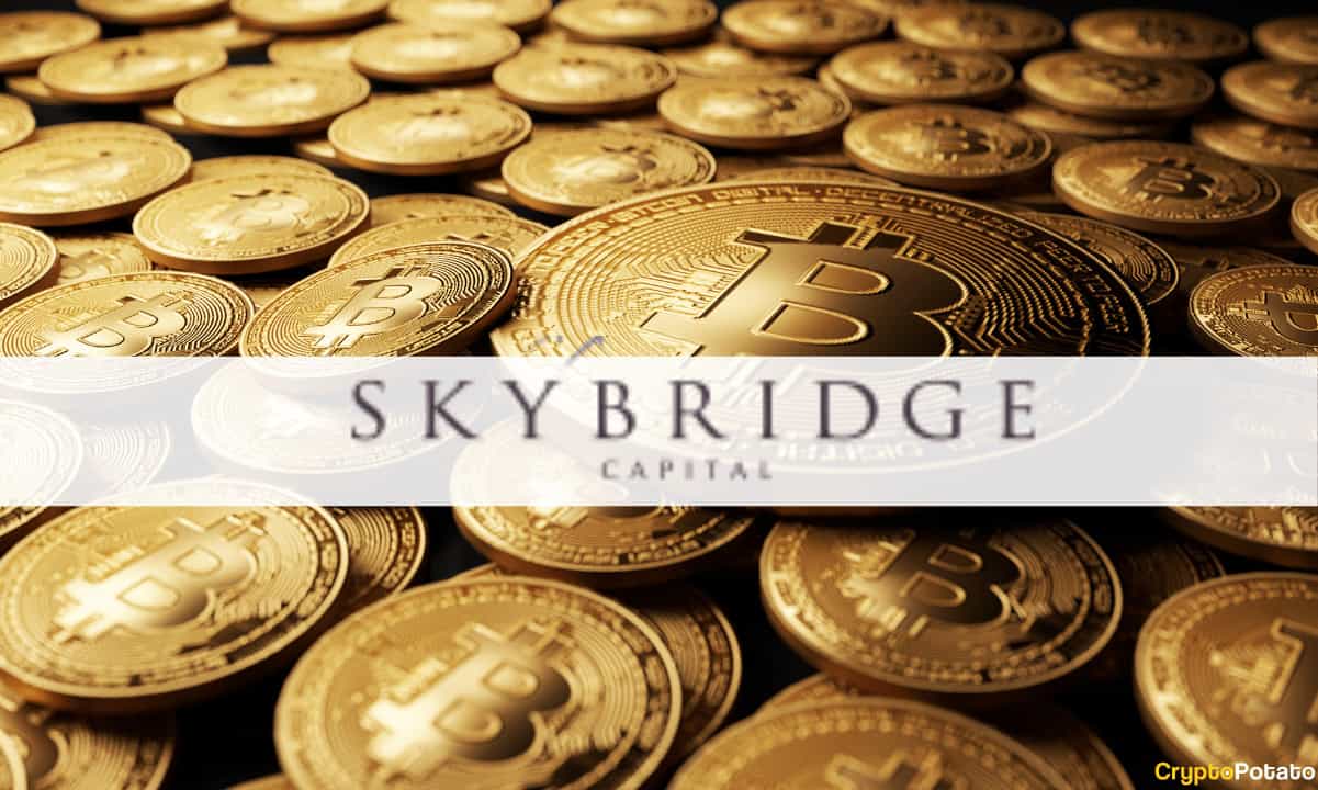 what are the best coins on crypto bridge