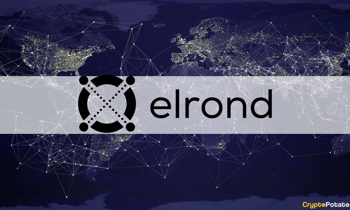 Skynet EGLD Capital Fund Raises  Million to Invest in the Elrond Ecosystem