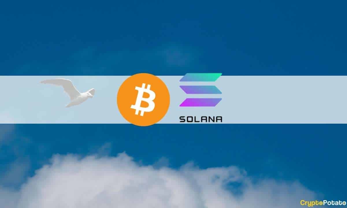 Bitcoin Recovers After Dipping Below $18K, Solana Leads Altcoin Relief Rally: This Week’s Crypto Recap