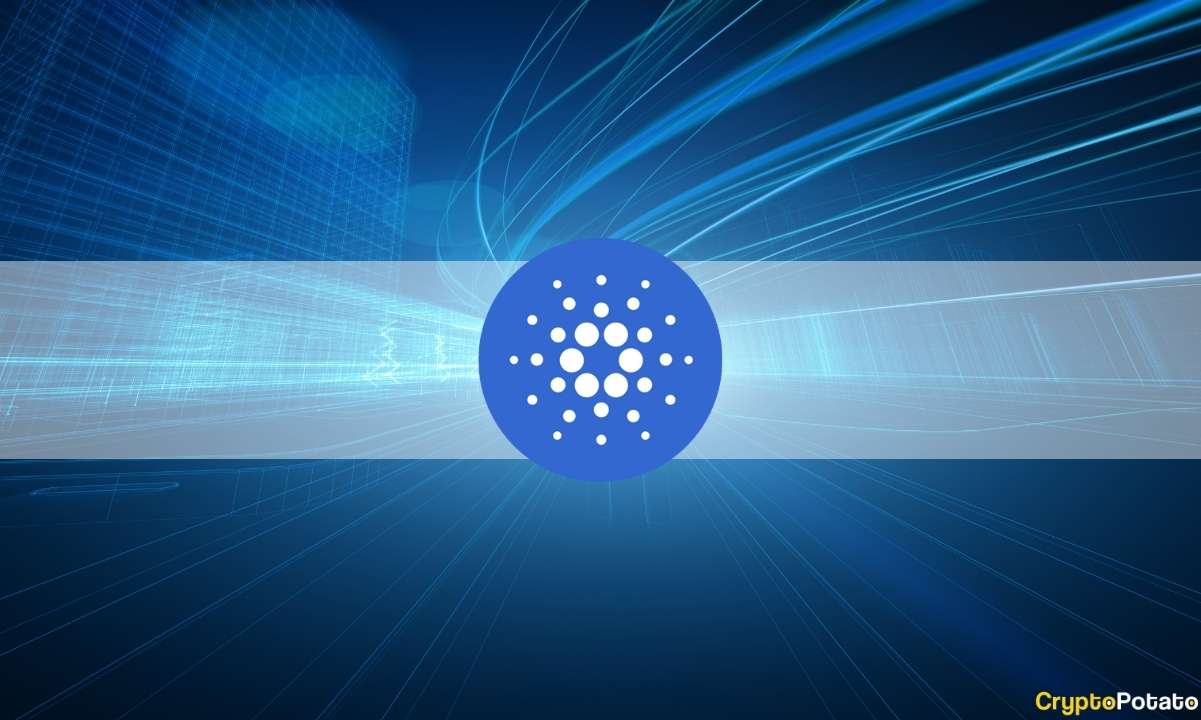 Cardano Records Impressive 49% QoQ Growth in Dapp Transactions; 10% Rise in TVL: Report