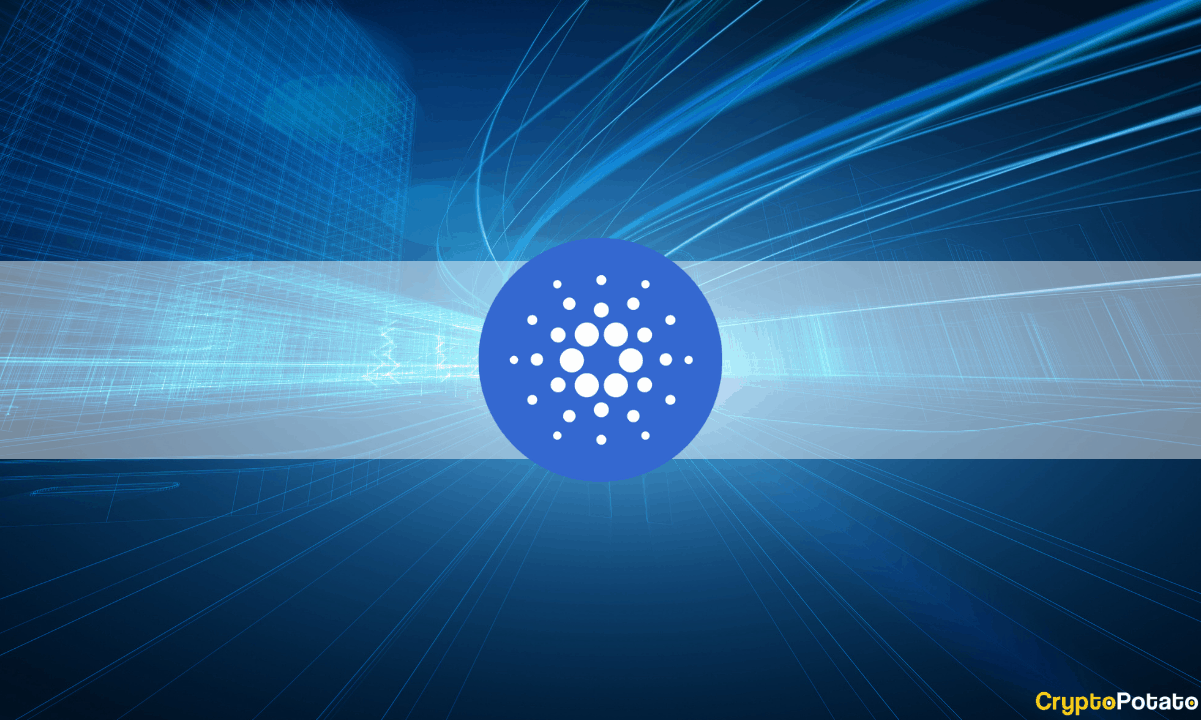 Cardano Aggressively Priced Ahead of Vasil, Claims Messari’s Report