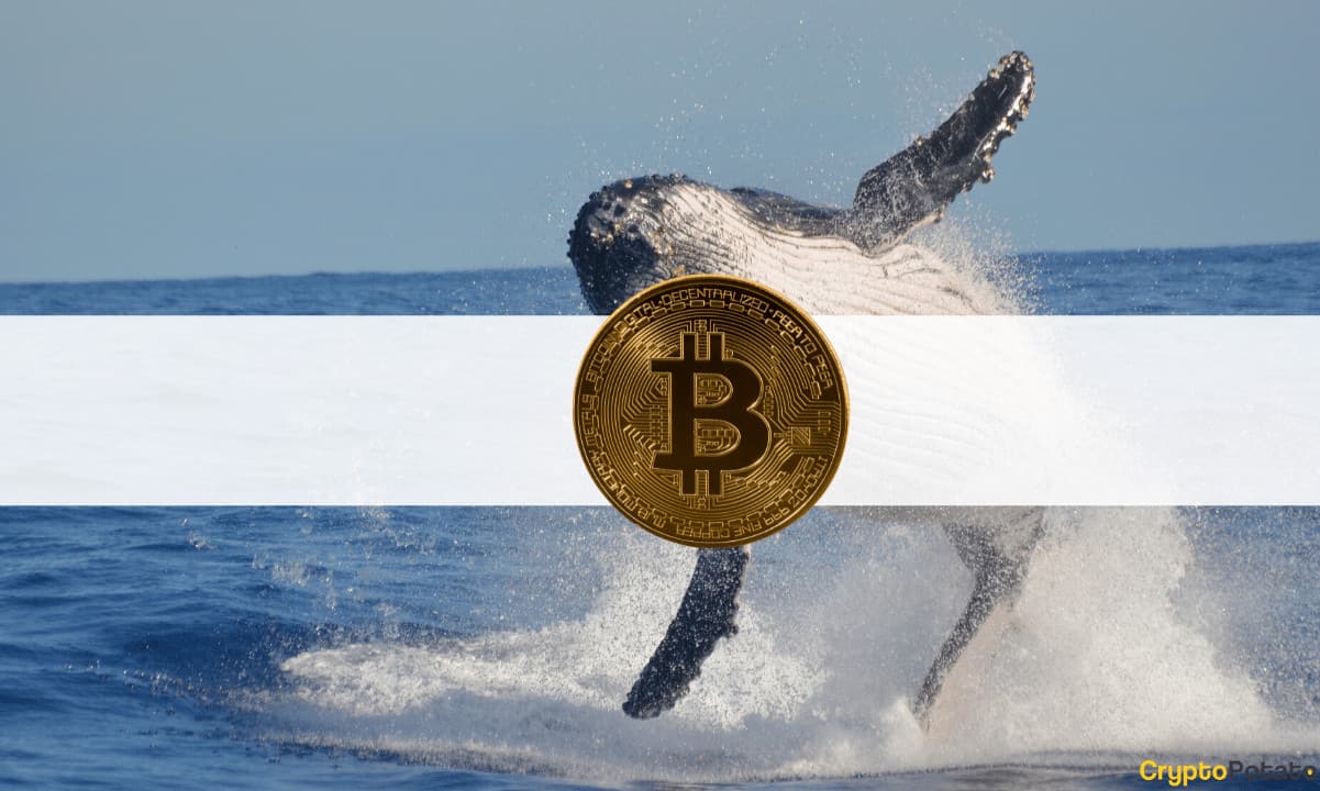 Mysterious Wallet Jumps to 3rd Largest BTC Holder in 3 Months: BlackRock or Gemini Involved?