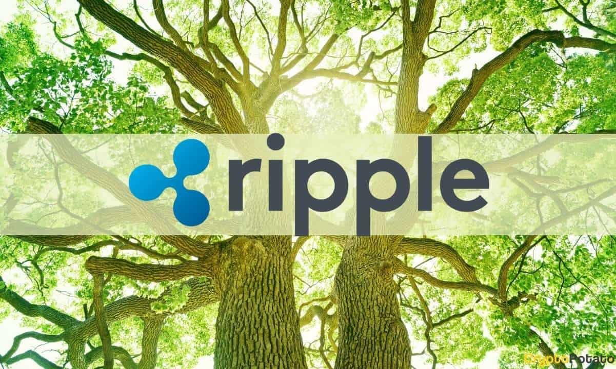 Ripple Commits 0M to Invest in Carbon Markets in its Latest Push for Sustainability