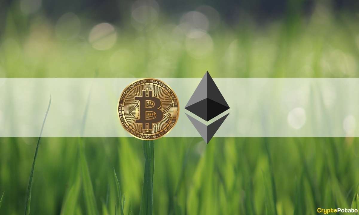 BTC and ETH Spiked to New 60-Day Highs on US Inflation News (Market Watch)