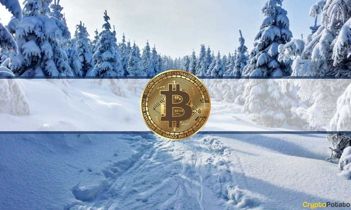 Crypto Winter Only Getting Worse but There’s a Positive: Tezos CEO