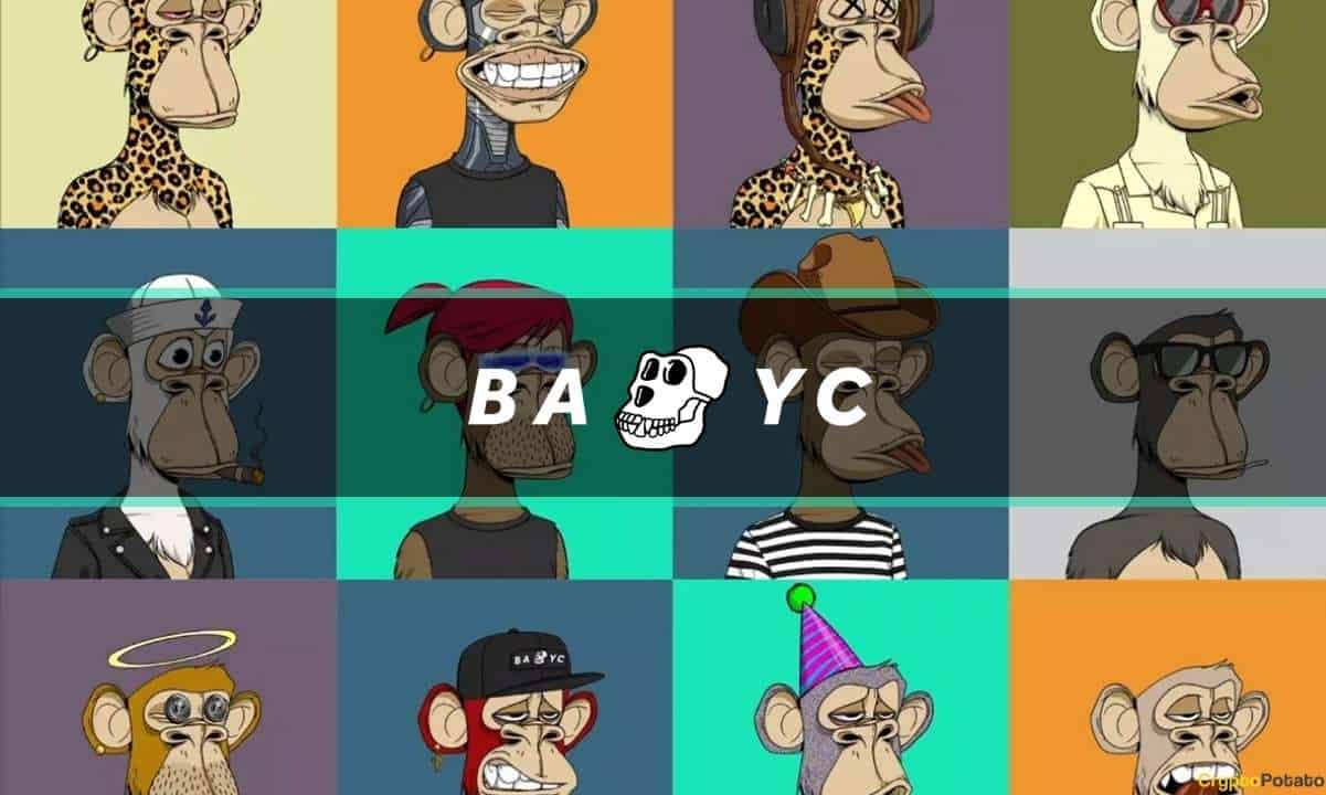 The Bored Ape Yacht Club (BAYC) NFT Collection: Everything You Need to Know