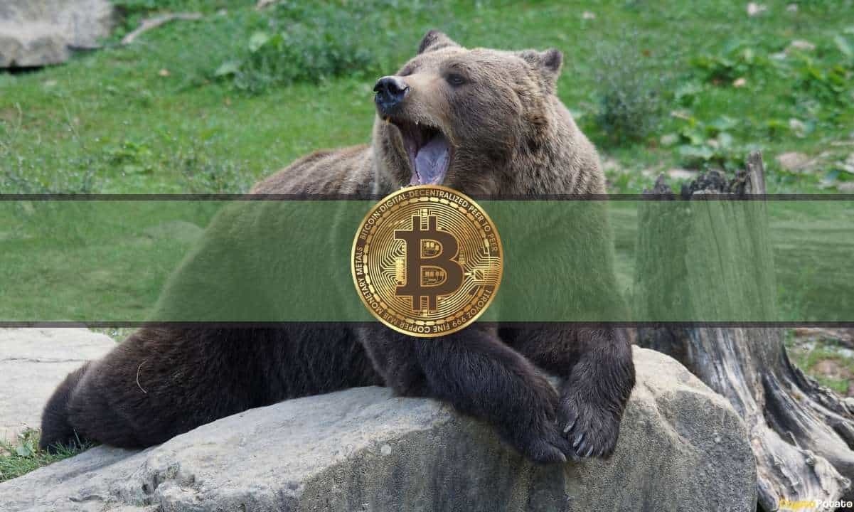 bears bitcoin cover