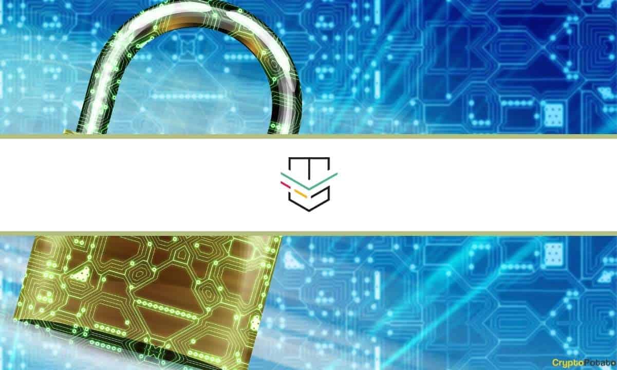 Tokenguard: Identifying Vulnerabilities in Cryptocurrency Projects