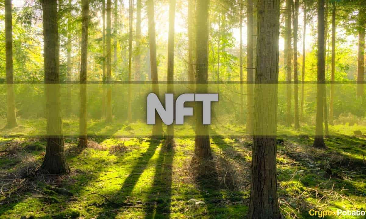 Non-Fungible Token (NFT) Collection - NFT and Crypto Games Outperformed DeFi Amid Market Selloffs in May: Report