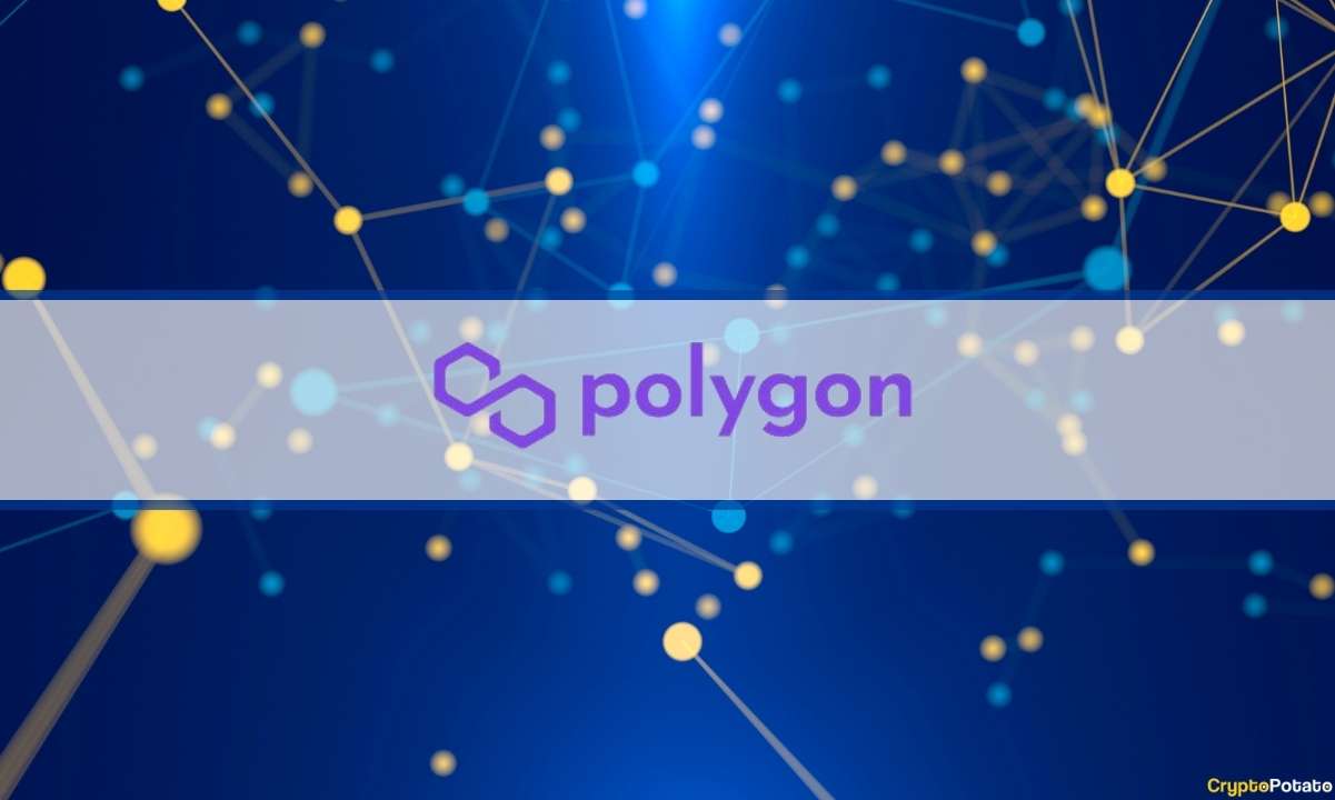 Polygon zkEVM Welcomes Managed Data Feed Service to Boost TVL Growth