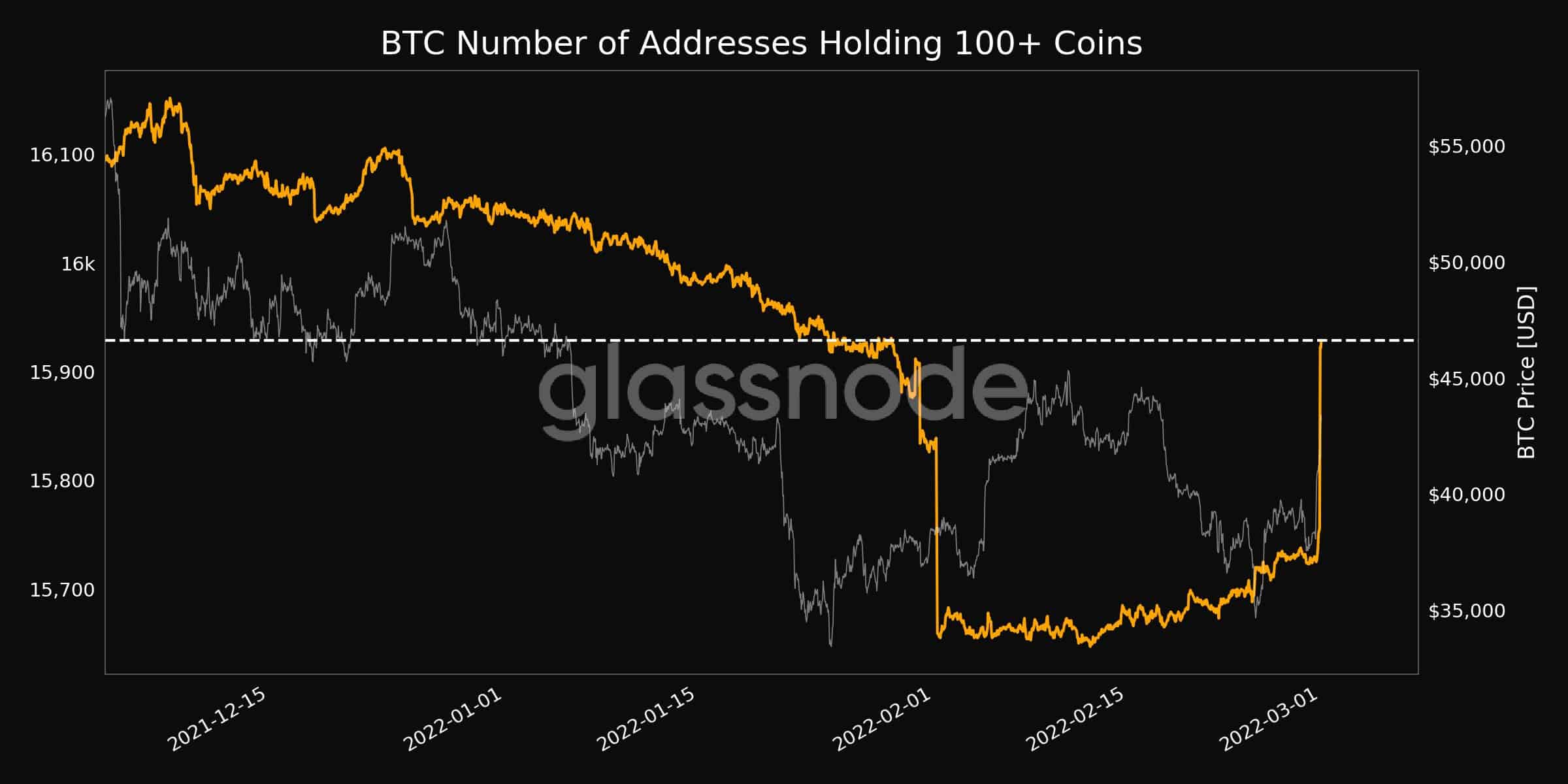 Bitcoin Addresses With 100+ Coins. Source: Glassnode
