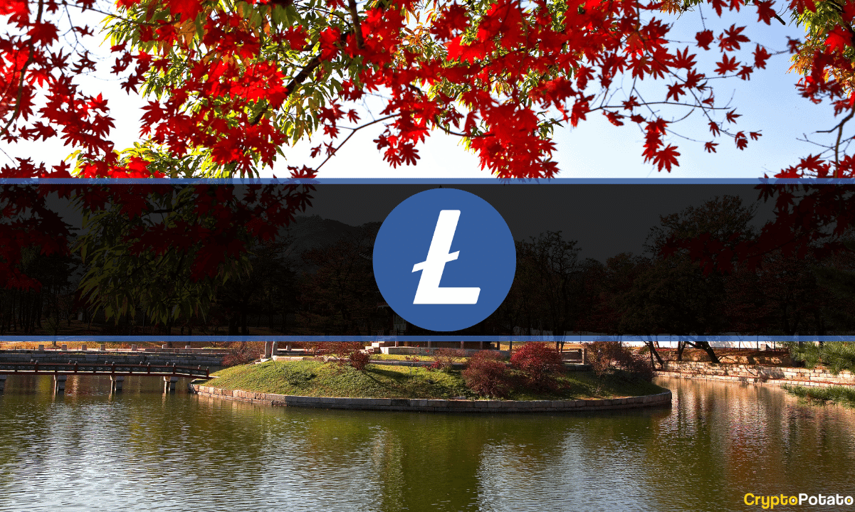 South Korean Crypto Exchanges Issue Investment Warnings After Litecoin’s MWEB Update