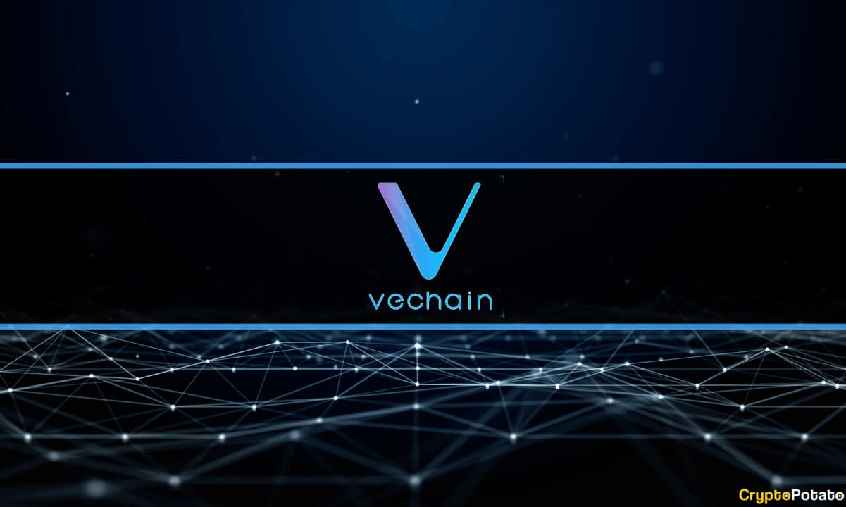VeChain Treasury Held .2B in Crypto, Q1 Report States