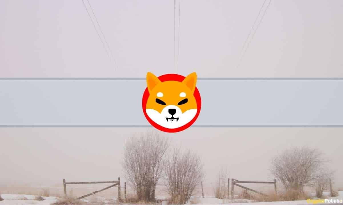 The Anonymous Creator of Shiba Inu (SHIB) Deletes All Tweets and Blogs