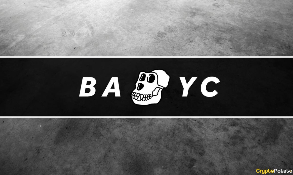 BAYC Has Tanked 90% as NFT Collection Floor Prices Plummet   BAYC Floor