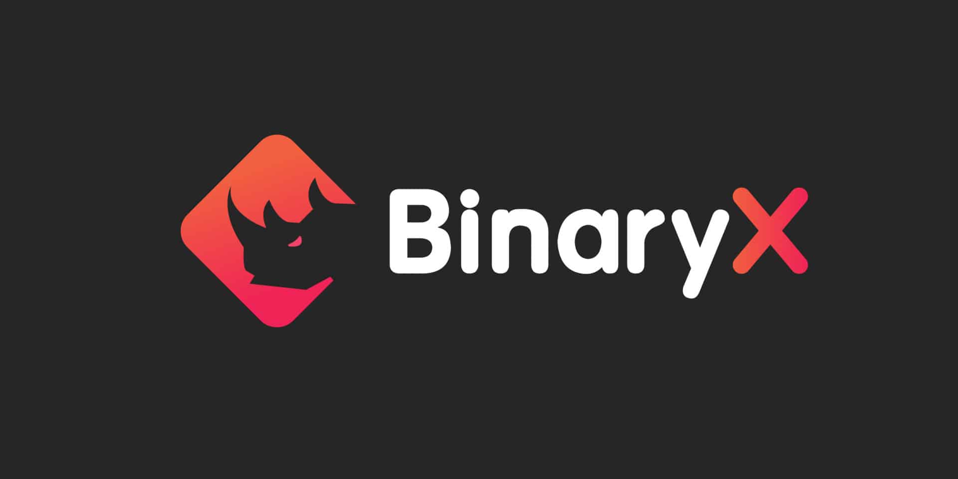 BinaryX Announces RhinoX NFT Collection, Sets Sale on June 6