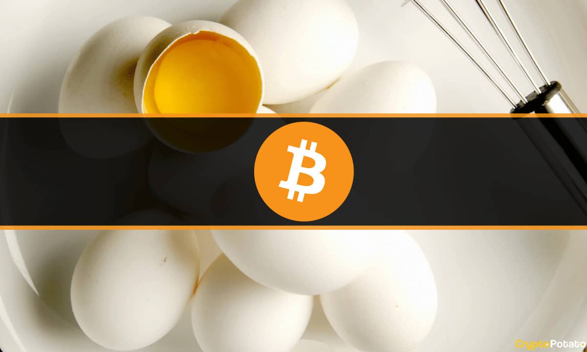 Fed Prices Eggs in Bitcoin but Misses the Big Picture: Crypto Community Reacts