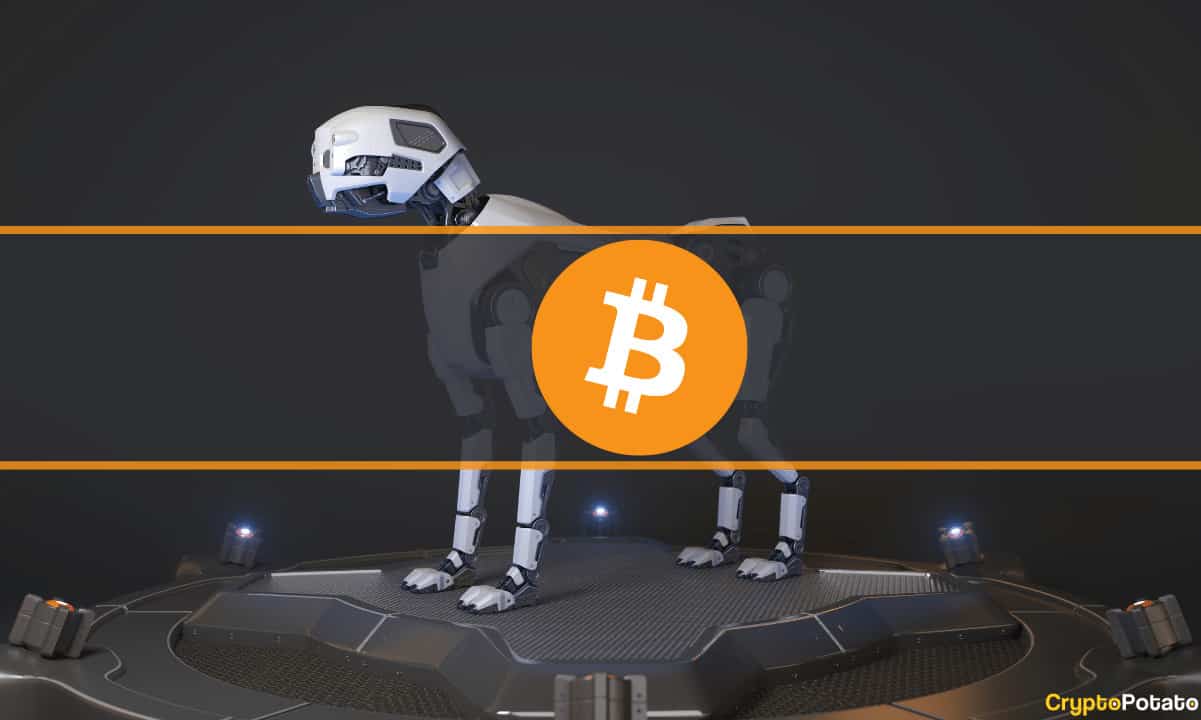 This Desperate Man Plans Build Robot Dogs to Find a Hard Drive With 9M Worth of BTC (Report)