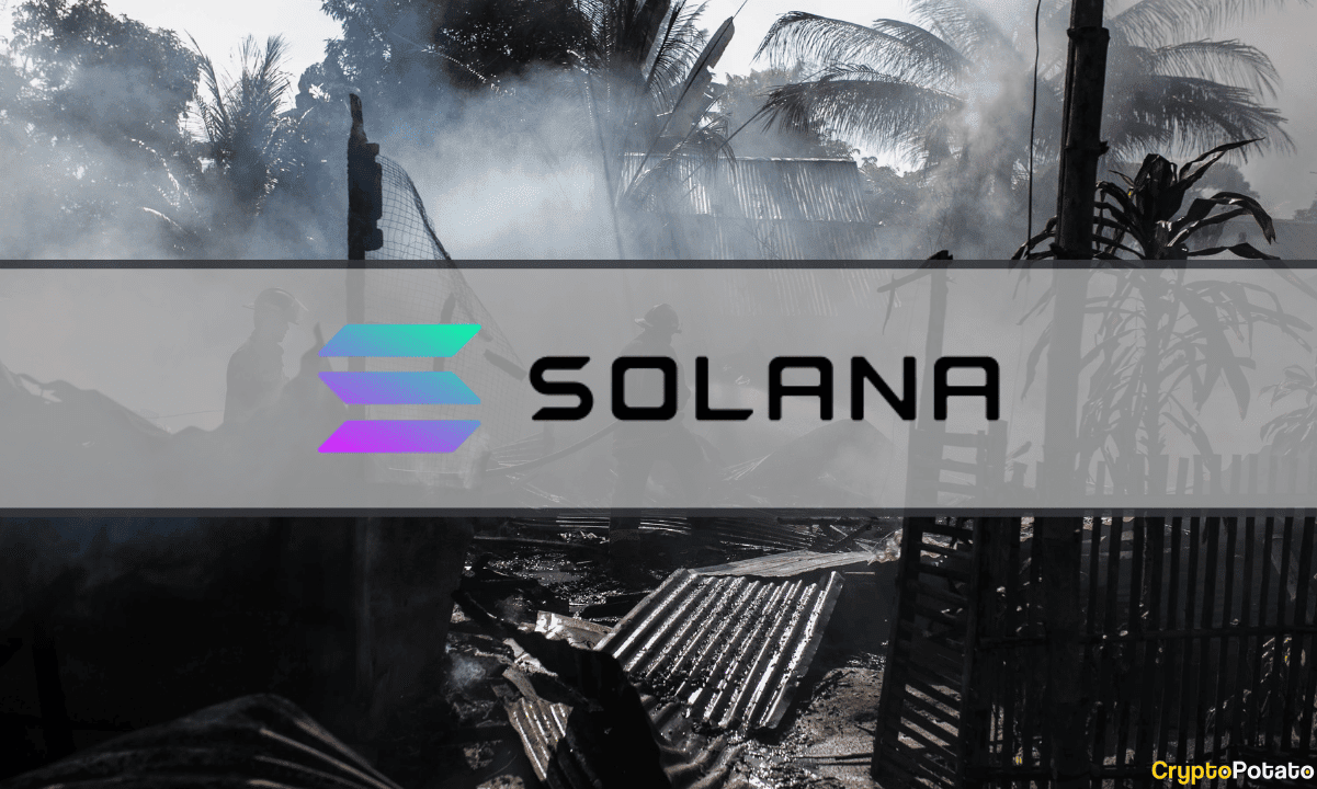 Solana Suffers Major Setback as Development Activity Plunges, SOL Dumps Hard