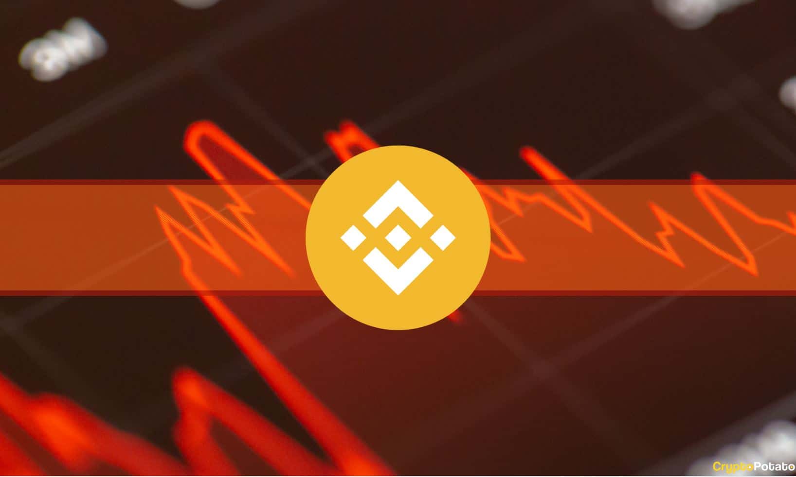 BNB Leads Recovery Efforts While Bitcoin Struggles Below K (Weekend Watch)
