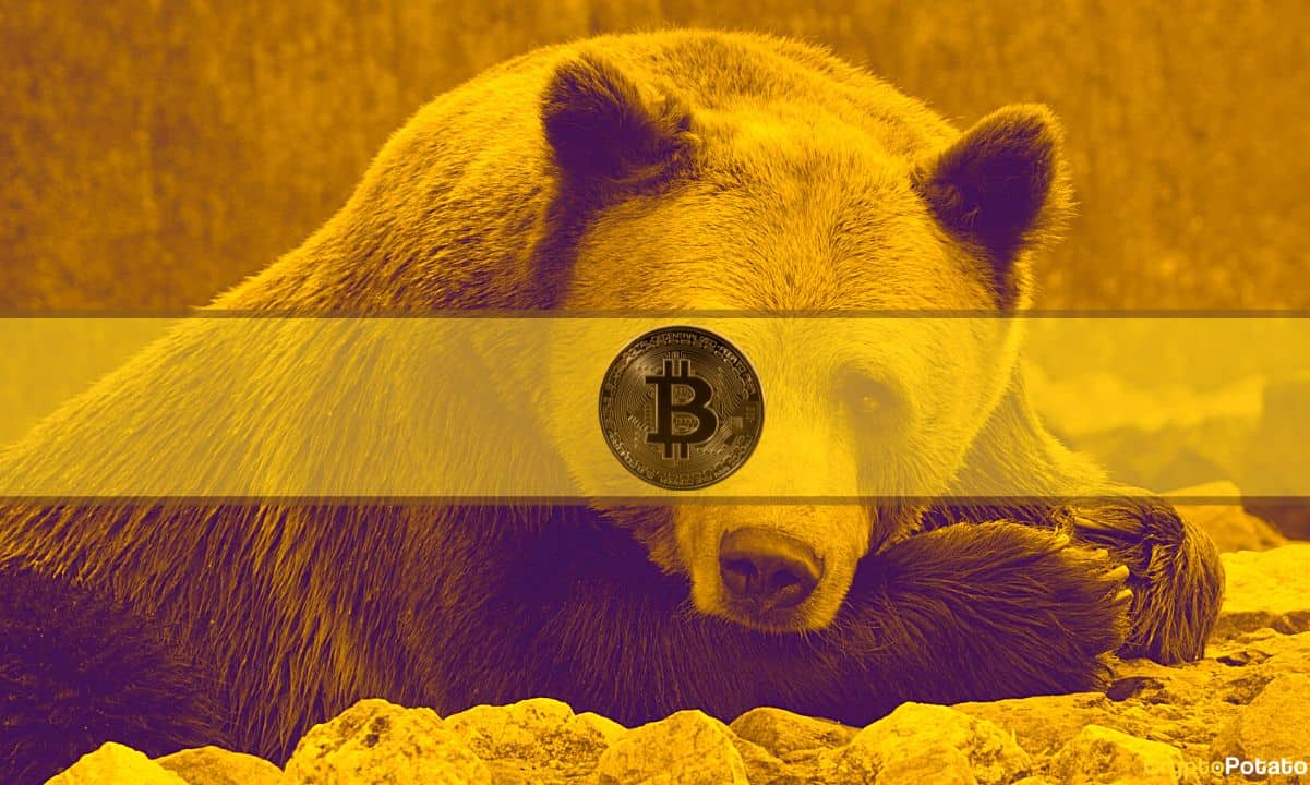 Bitcoin_Bear
