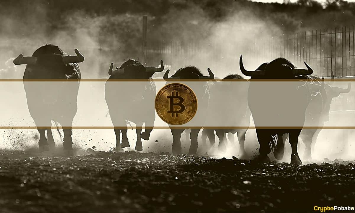Bitcoin Price Holds Steady at K: 4 New Bullish Indicators