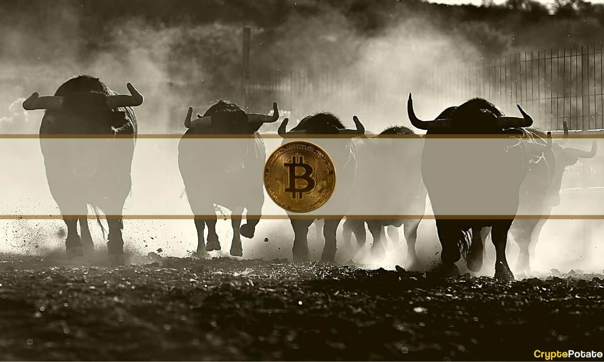 Bitcoin Bulls