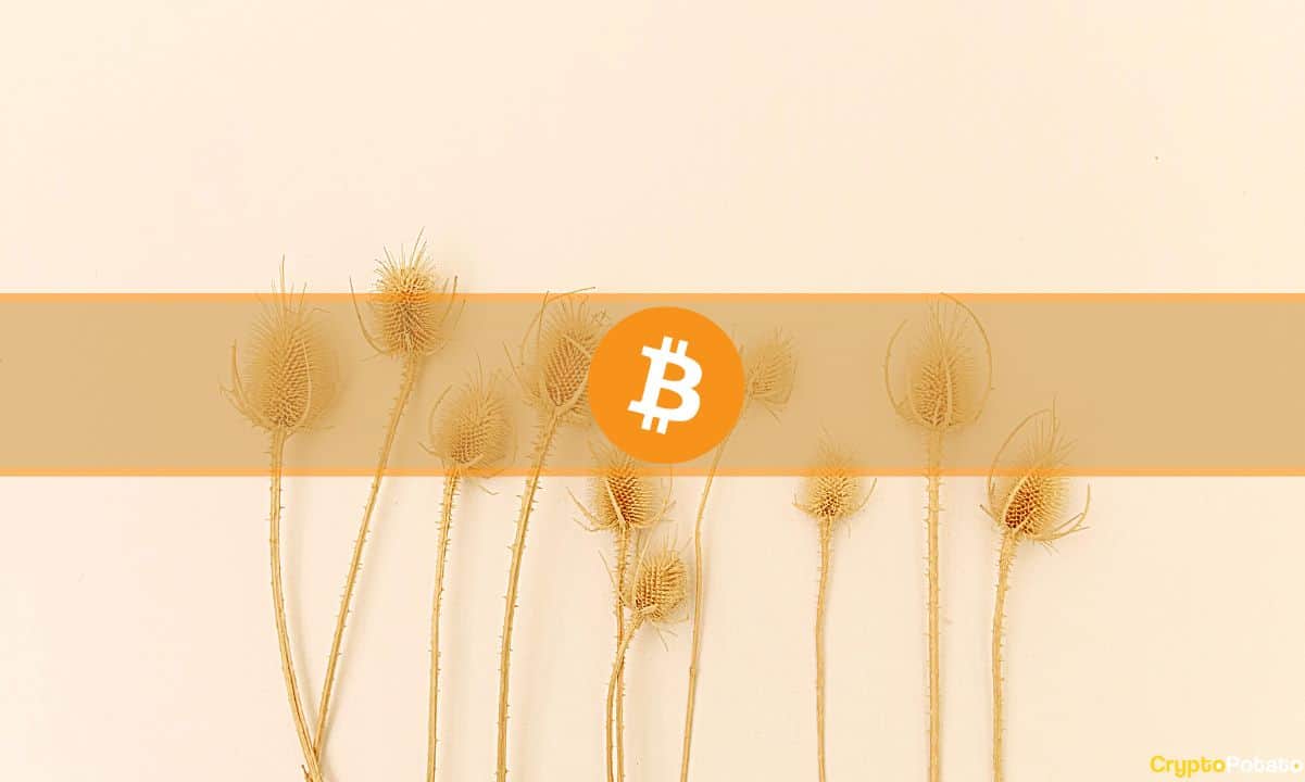 Two Considerations as Bitcoin Withdraws Toward K