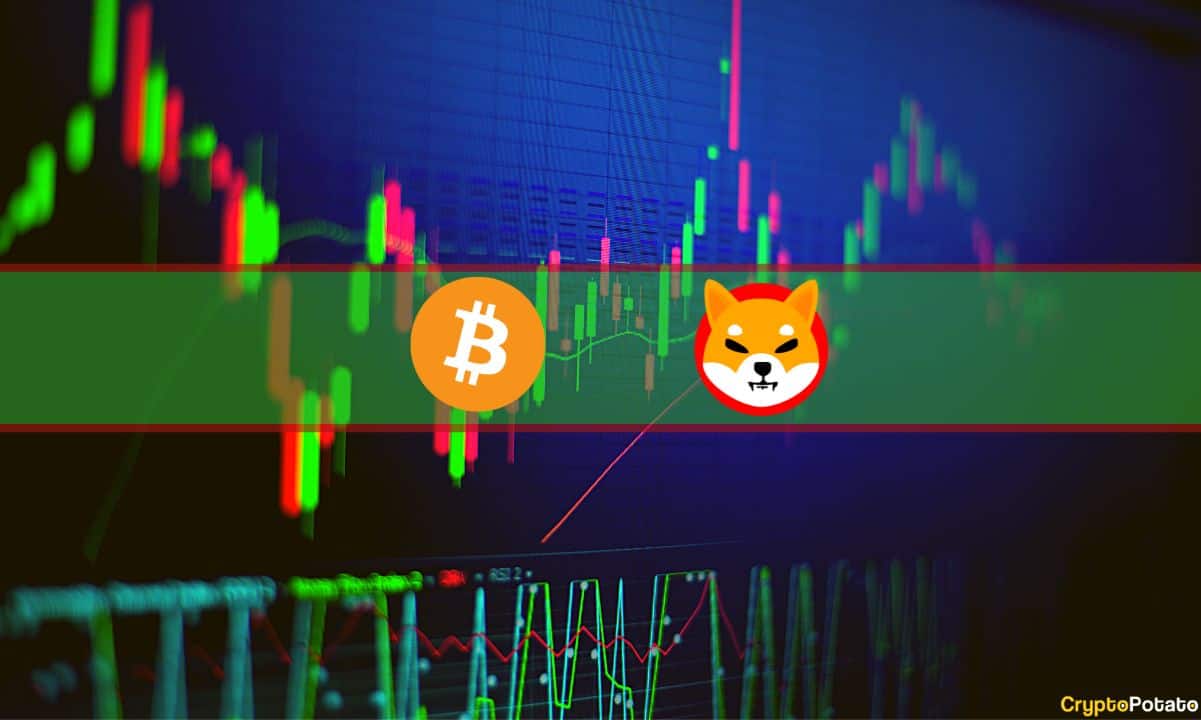 These Altcoins Dump 20% Weekly While Bitcoin Struggles at K (Market Watch)