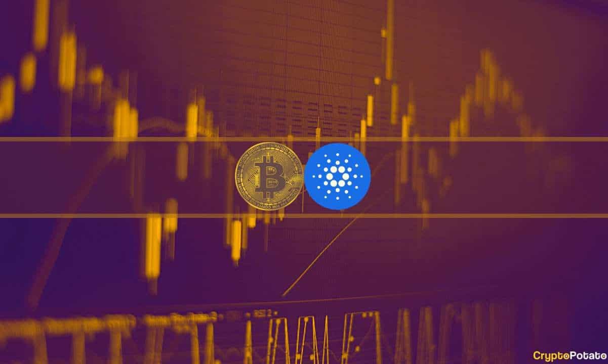 ADA Jumps 14% Weekly, BTC Reclaims K After Enhanced Volatility: Market Watch