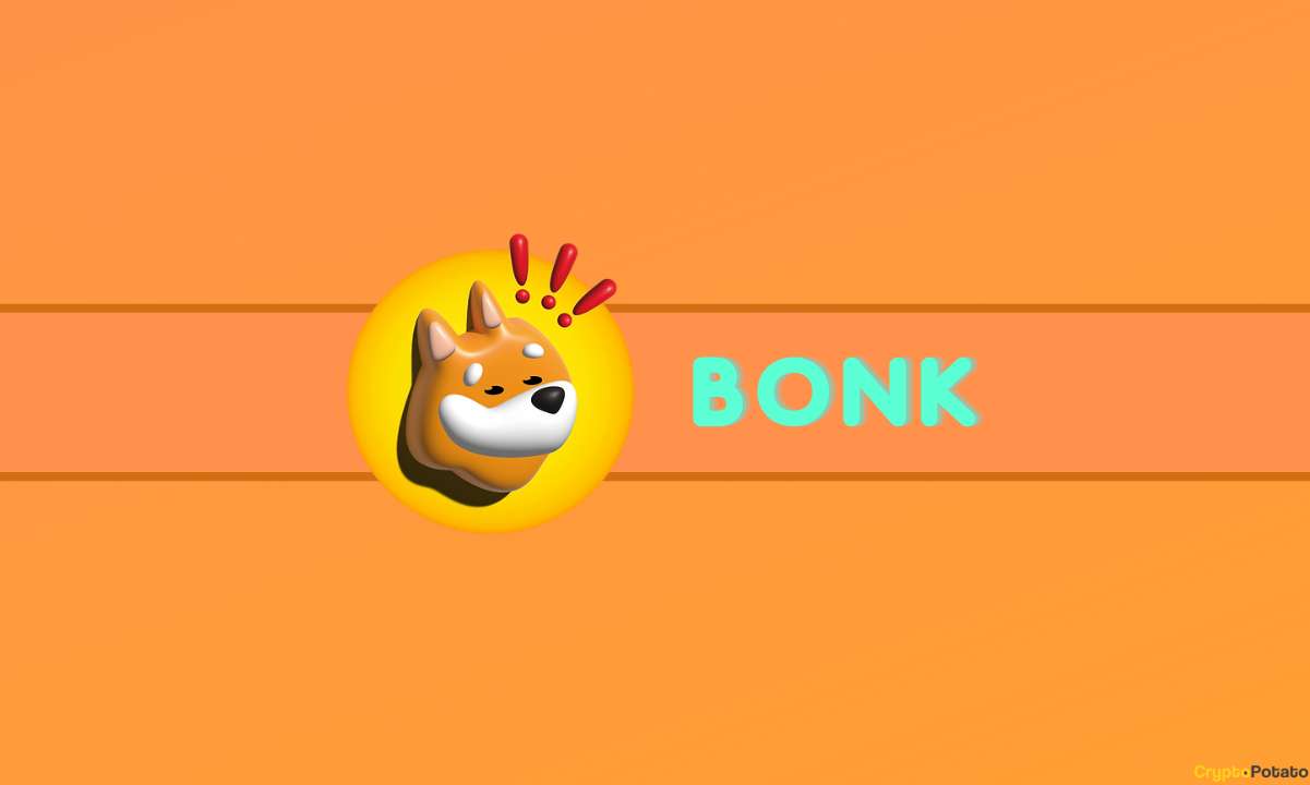 What is Bonk Inu (BONK): The Dogecoin of Solana?